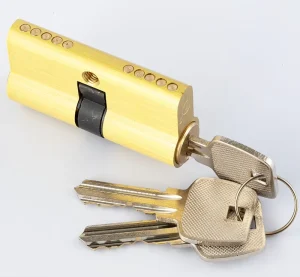 Mortise Brass Security Cylinder with Master Key Profile for Mortice Doors