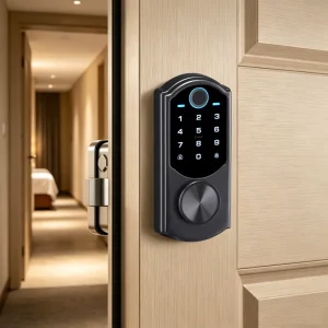 Multi Unlock Keyless Connected Smart Lock Rfid Card Electronic Rim Lock Full Accessories Diy Install Garden Gate Security Lock