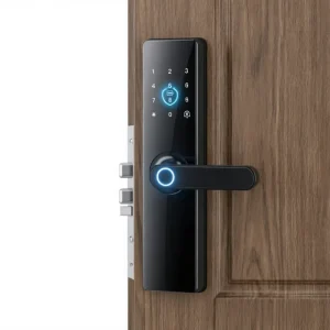 Multilingual Smart Door Handle Lock WiFi App Control Semi-Automatic Fingerprint Electronic Password Lock