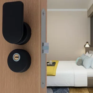 Mute Single-Latch Mechanical Door Lock with Key for Wood Doors, Push-Pull Handle