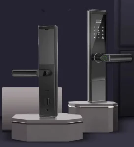 N9 Factory Price Electronic Smart Wireless Fingerprint Wifi SDK TUYA & TTlock App Digital Wood Door Lock