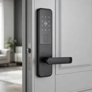 Powder-Sprayed Panel Smart Lock with Standard Handle for Residential Hotel and Commercial Use