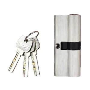 Price Brass Door Cylinder Lock Euro Profile Mortise Lock Cylinder with Double Keys