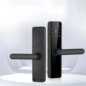 Residential Keyless Electronic Door Lock with Biometric Fingerprint, Memory Card, and WiFi