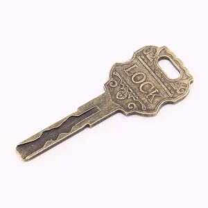 SUOAN Steel Door Key Blanks for House Lock Replacement with Easy Installation & Water Resistant