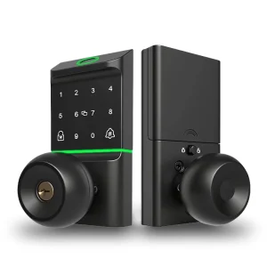 Smart Ball Door Lock 2504 5-in-1 Fingerprint Password App Card Keyless Entry Adjustable Latch Black