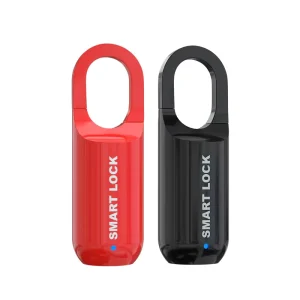 Smart Fingerprint Padlock Zinc Alloy Waterproof Keyless Intelligent Anti Theft Aluminum Door Household Gym Locker