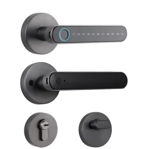 Smart Handle Door Lock with Biometric Password, Fingerprint Keypad and Emergency Key for Home Security