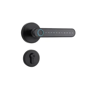 Smart Handle Door Lock with Bluetooth App Fingerprint Password Keyless Card Entry