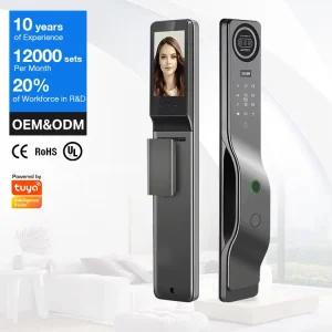 Smart Home Electric Door Lock with WiFi and 3D Face Recognition for Main Entrance Doors