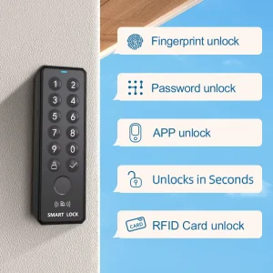 Smart Home Lock with App Control Fingerprint and Password Unlock for Wood and Steel Doors Memory Card Storage IP65 Waterproof