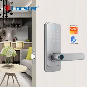 Smart Lock Aluminum Alloy Fingerprint Automatic Remote Control Digital Password Electronic Door Lock