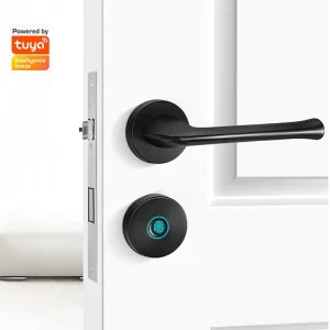 Split Fingerprint Door Lock with 5572 Lock Body for Rental Apartment Rooms Electronic Smart Lock