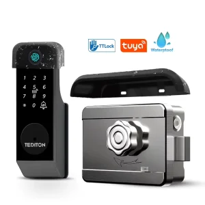 Tediton Autometic Kyeless Stainless Intelligent rim Lock Smart Outdoor Iron Gate Lock Security Door With Smart Lock