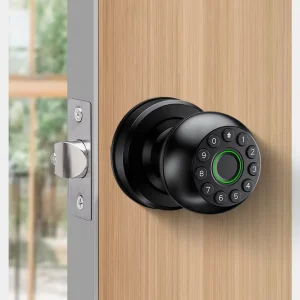 Tuya BLE Keyless Intelligent Smart Ball Lock Biometric Fingerprint Knob Door Lock for Wood Doors