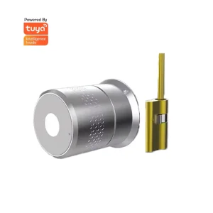 Tuya Smart Door Lock for Remote Control Smart Home Steel Door Memory Card Aluminium Alloy Cylinder