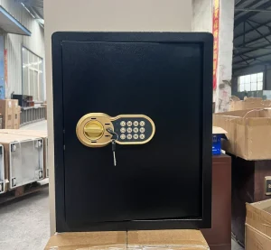 Wall Mounted Hidden Electronic Code Lock Biometric Safe Heavy Duty Steel for Executive Offices Travel Trailers HAOTE HAOTE500