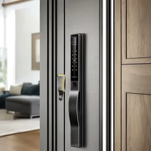 Waterproof Fully Automatic Electronic Facial Fingerprint Smart Door Lock Digital Combination Lock for Home
