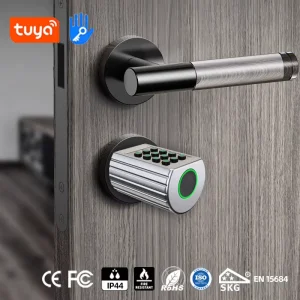 Waterproof Zinc Alloy Memory Card European Password Fingerprint Keyless Digital Smart Door Lock Handle