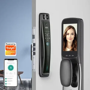 Wi-Fi Digital Smart Door Lock with Electronic Fingerprint Access for Exterior Wood Doors