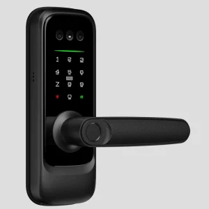 Wi-Fi Electronic Handle Smart Lock with Fingerprint and Digital Access