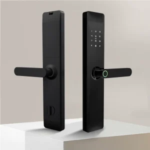Wi-Fi Indoor Smart Door Lock with Fingerprint and Card Access, Remote Control and Temporary Password