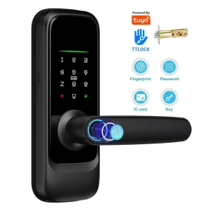 WiFi Smart Electronic Door Lock with Lever, Digital Password, Keyless Fingerprint Biometric Deadbolt for Gate
