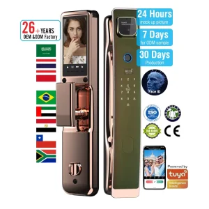 Wood and Steel Door Smart Lock with Zinc Alloy, Memory Card, WiFi and Facial Recognition